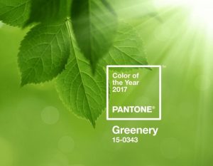 pantone-color-of-the-year-2017-greenery-15-0343-press-release-2